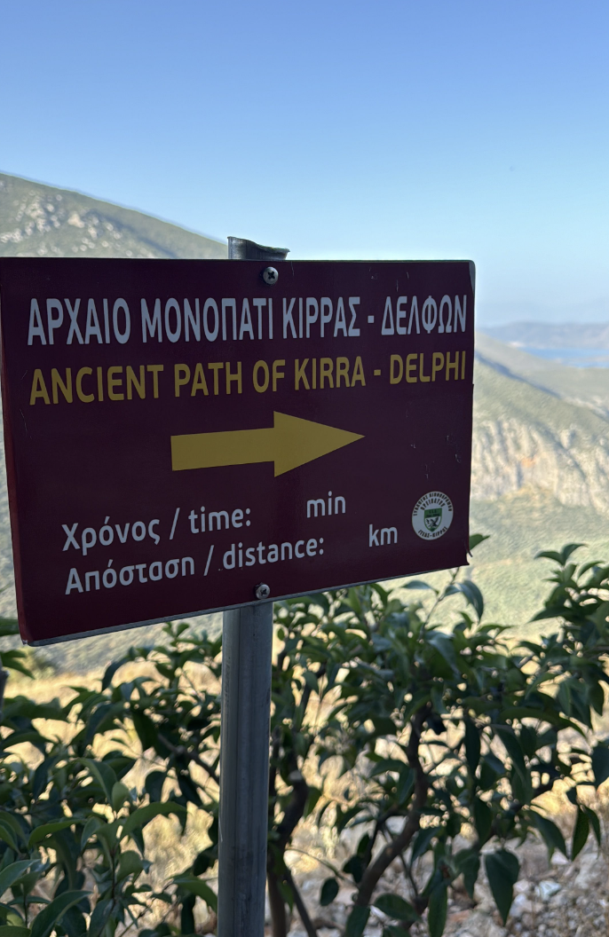Delphi Path
